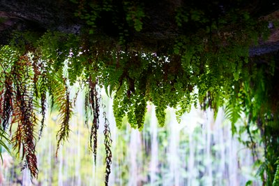 Zhongshan Parks 202601 #2