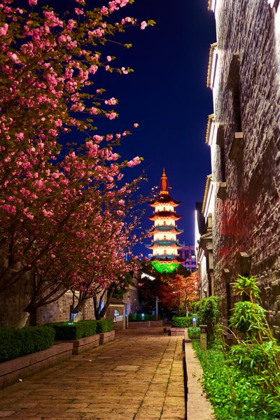 Ningbo 2026 #79