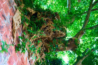 Leshan (Giant Buddha) 2025 #47