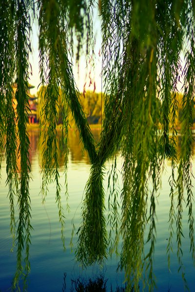 Beijing 202509 #27