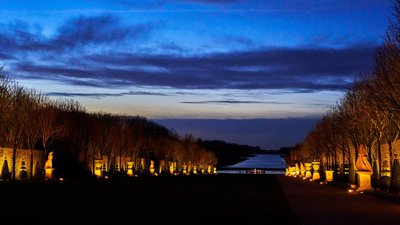 Versailles (Ice, Lake, Night, Birds), Winter 202001 #11