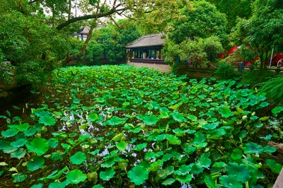 Chengdu Wuhouci 2025 #27