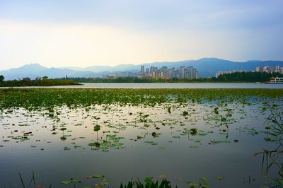 Kunming Misc 2025 #103