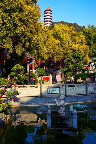 Zhongshan 202602 #43