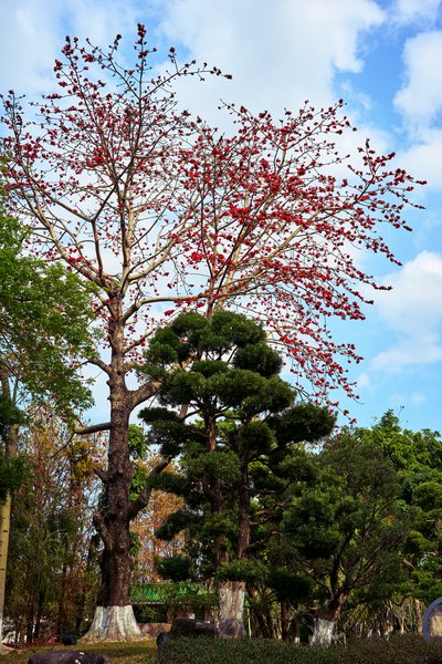 Zhongshan Parks 202603 #4