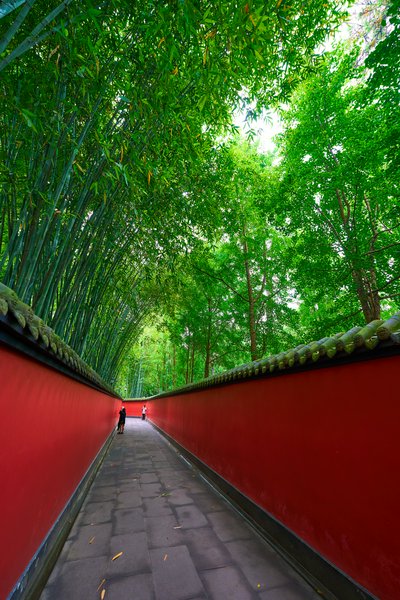 Chengdu Wuhouci 2025 #11