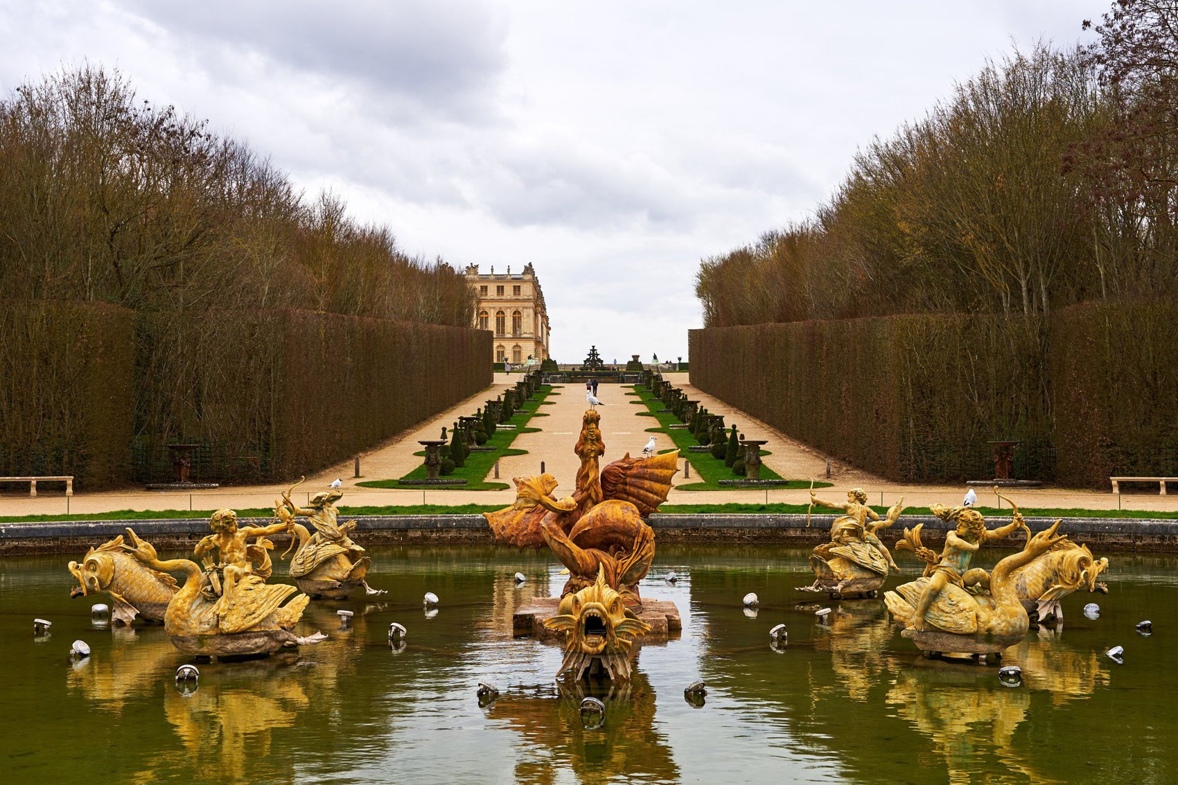 Hero Image for Versailles (Swans, Chateau, Park) Spring 201903