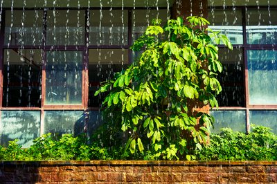 Zhongshan 202512 #44