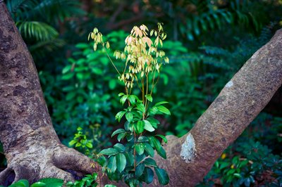 Zhongshan Parks 202603 #8