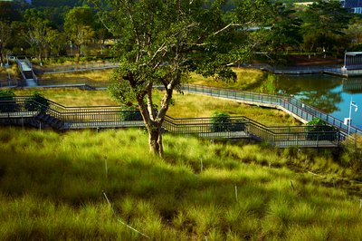 Parks in Zhongshan 202512 #16