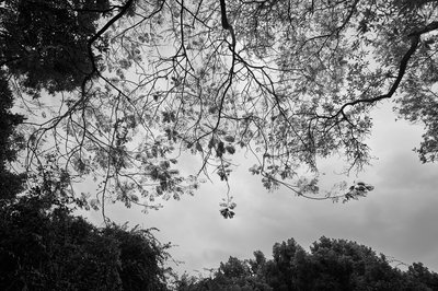 Zhongshan Parks 202603 #48