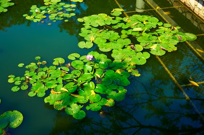 Zhongshan 202512 #45