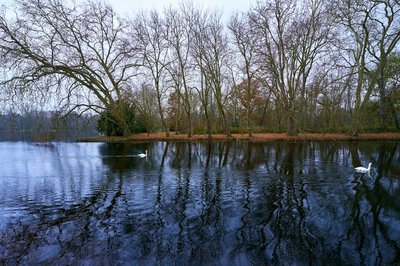 Photo from gallery Rambouillet [Nov 2021] taken on 2021-11-25 16:14:50 at Rambouillet by DrJLT