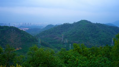 Dongguan [May 2023] #21