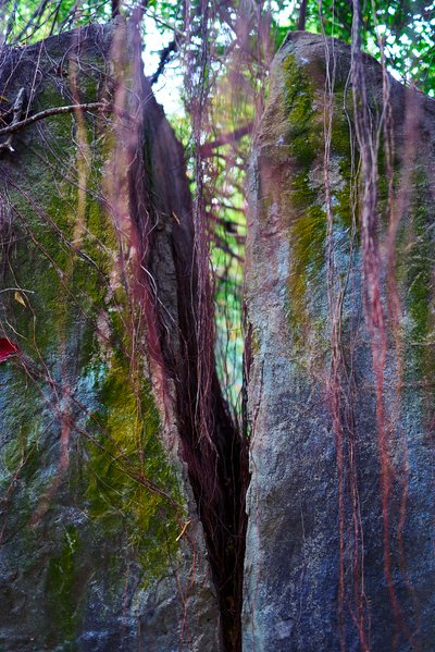 Zhongshan Parks 202601 #66