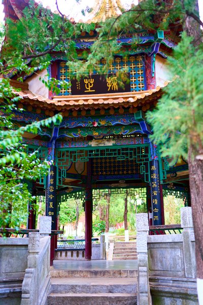 Kunming Zoo 2025 #26