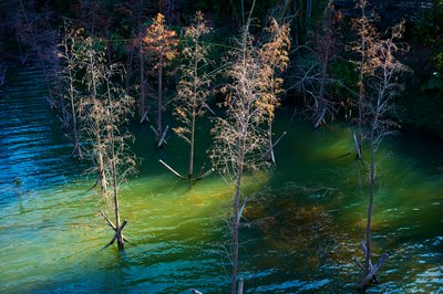 Zhongshan Parks 202601 #26