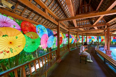 Xishuangbanna Manting Park 2025 #43