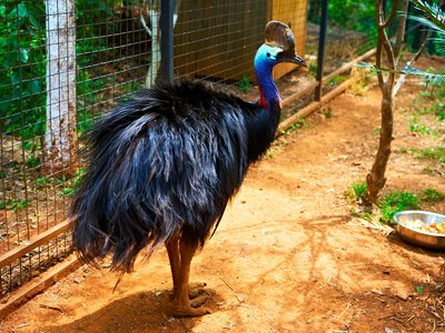 Kunming Zoo 2025 #19