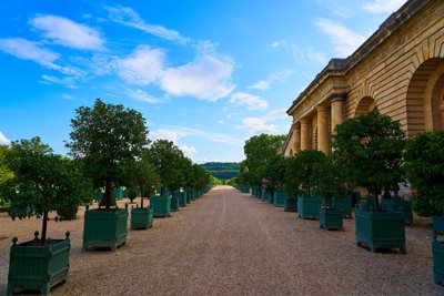 Photo from gallery Orangerie @ Chateau de Versailles, Summer 201908 taken on 2019:08:19 18:14:08 at Versailles by DrJLT