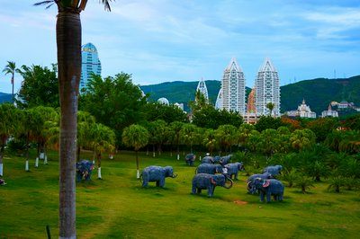 Xishuangbanna Misc 2025 #19