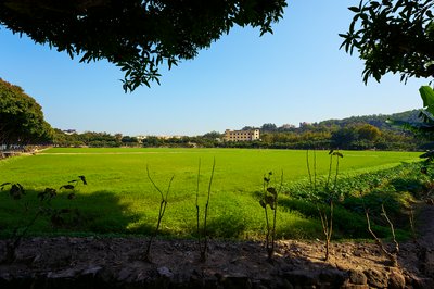 Zhongshan 202602 #37