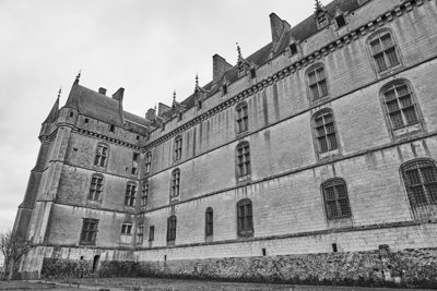 Chateau de Chateaudun (Winter) Feb 2020 #18
