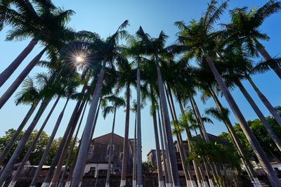 Zhongshan 202602 #36