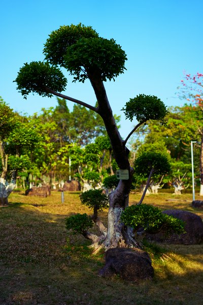 Zhongshan Parks 202603 #2