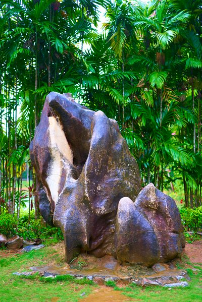 Xishuangbanna Misc 2025 #39