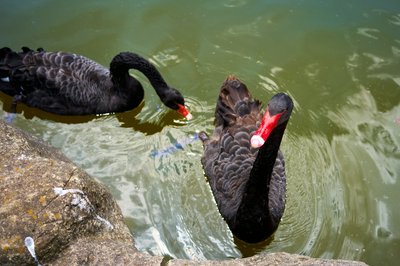 Kunming Zoo 2025 #56