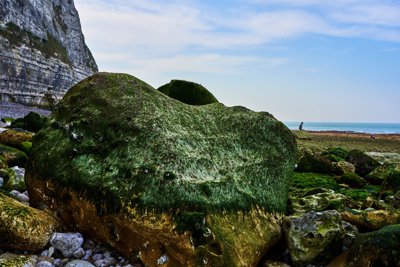 Yport (Pebble Beach, Cliff), Normandy Spring 201904 #17