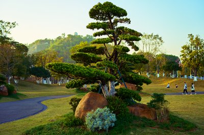 Parks in Zhongshan 202512 #46