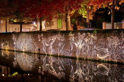 Chartres at Night [Oct 2022] #16