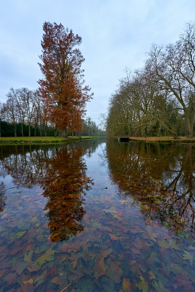 Photo from gallery Rambouillet [Nov 2021] taken on 2021-11-25 15:58:13 at Rambouillet by DrJLT