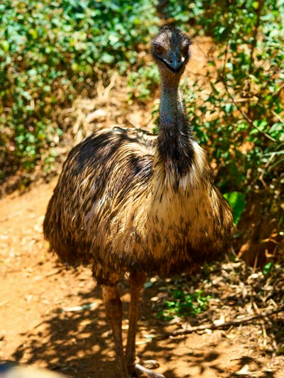 Kunming Zoo 2025 #47