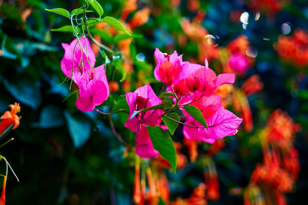 Hero Image for Zhongshan Parks 202602