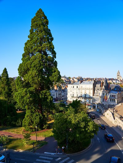 Blois (Loire, Chateau Royal), Summer 201908 #29