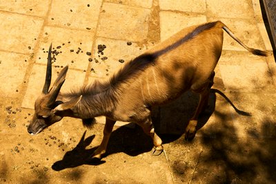 Kunming Zoo 2025 #46
