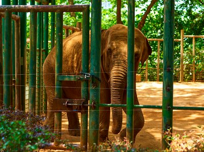 Kunming Zoo 2025 #42