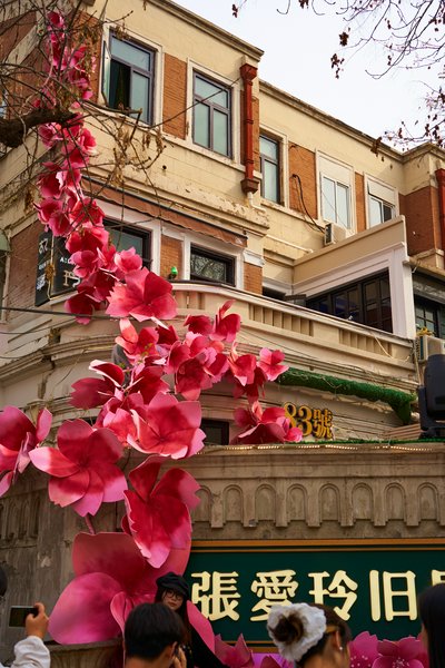 Tianjin April 2025 #11