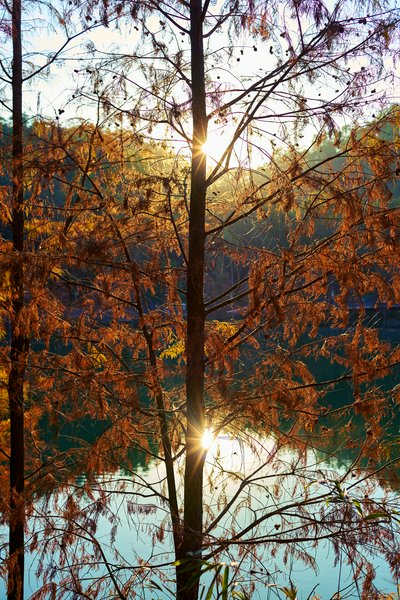 Zhongshan Parks 202601 #37