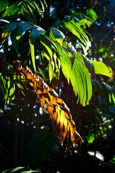 Zhongshan Parks 202603 #6
