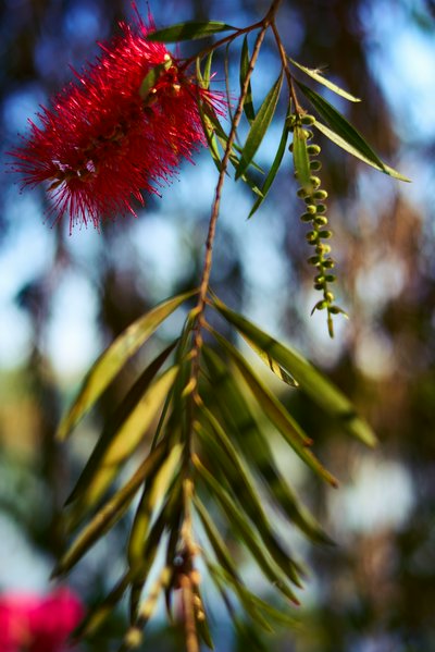 Zhongshan Parks 202602 #7