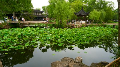 Suzhou [May 2023] #82