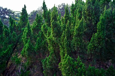 Zhongshan Parks 202601 #62