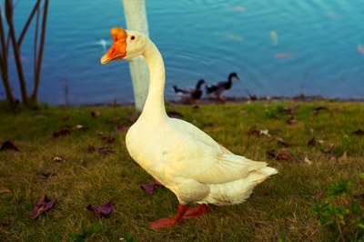 Parks in Zhongshan 202512 #50