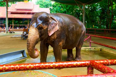Xishuangbanna Manting Park 2025 #56
