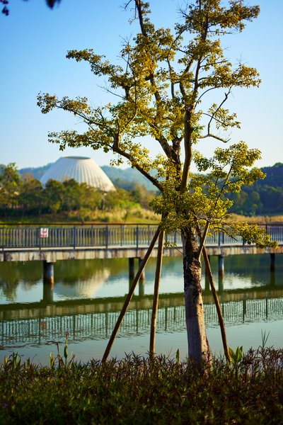 Zhongshan Parks 202601 #15