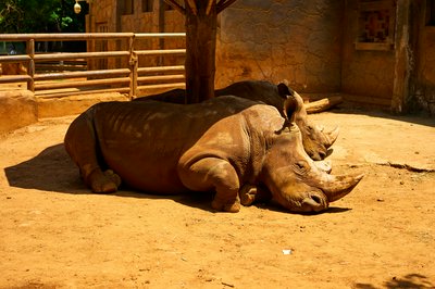 Kunming Zoo 2025 #49